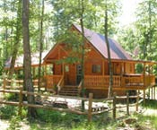 Cabin #2 Green Goddess