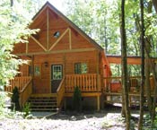 Cabin #4 Golden Harvest